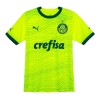 Palmeiras Third Shirt 2023-24